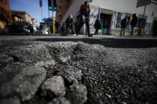 Buche e alberi pericolanti, così il Campidoglio rischia il salasso