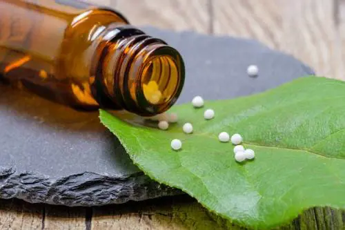 Bimbo muore per otite dopo cure omeopatiche. Omeoimprese: "Noi parte lesa contro chi strumentalizza"
