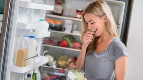 Gli avanzi di cibo nel frigorifero come il nido di batteri dannosi per la nostra salute
