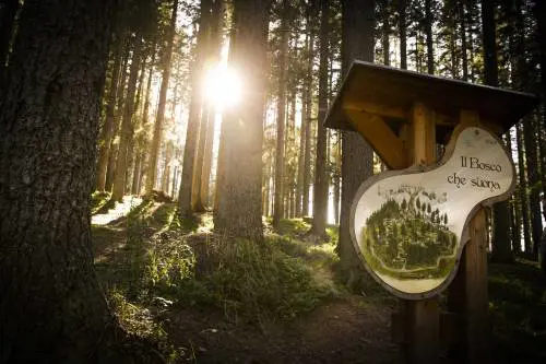 Nella "Valle dell'armonia" con Bollani al pianoforte
