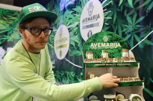 Alla Festa della Cannabis  anche minori accompagnati