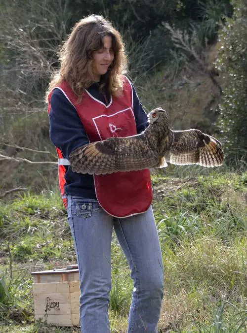 Storie di "miracoli" nei centri della Lipu