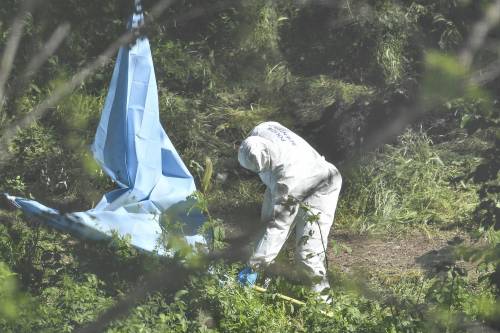 Trovato corpo di una donna carbonizzato in zona Eur a Roma