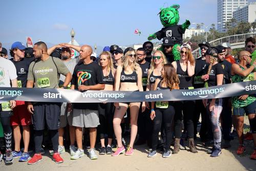 Quelle maratone che sfidano Trump sul consumo di marijuana negli Usa