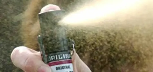 Ancona, lo spray ha causato il panico