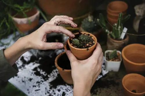 19 milioni di italiani a rischio multa: ecco chi può riceverla (e come fare per evitarla)