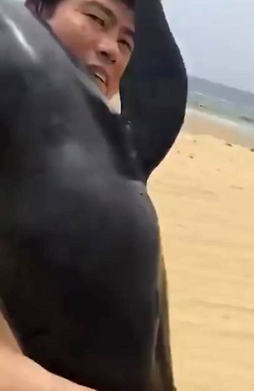 Un uomo si allontana dalla spiaggia con un delfino in spalla