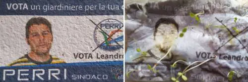 Il candidato è giardiniere? Il "santino" è coltivabile