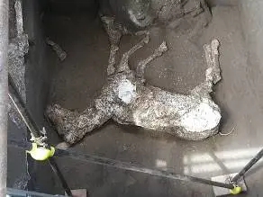 Dal suburbio dell'antica Pompei spunta un cavallo