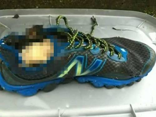 Suicidi, incidenti e scarpe da corsa. Risolto il giallo dei 14 piedi mozzati