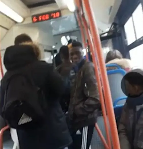 Insulta straniero senza biglietto licenziato l'autista dell'autobus