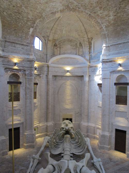 De Dominicis e l'arte di ribellarsi alla critica