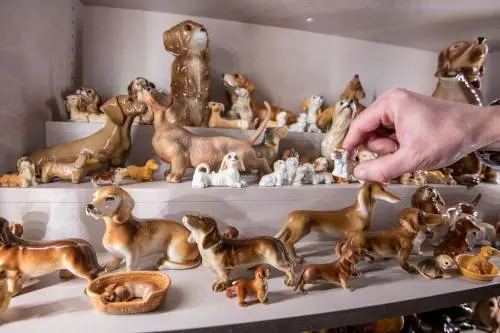 Che opera d'arte i cani. E ora c'è pure un museo dedicato ai bassotti