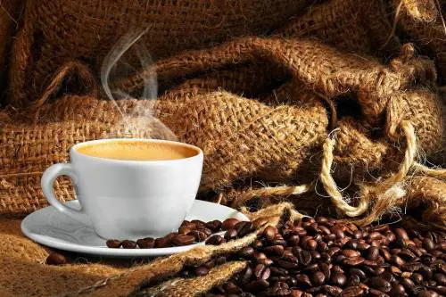 Milano Coffee Festival, il gusto in una tazzina e non solo...