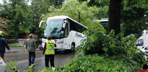 Firenze, albero cade su pullman di turisti: dodici feriti