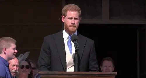 Un'ape distrae il principe Harry: ilarità tra il pubblico