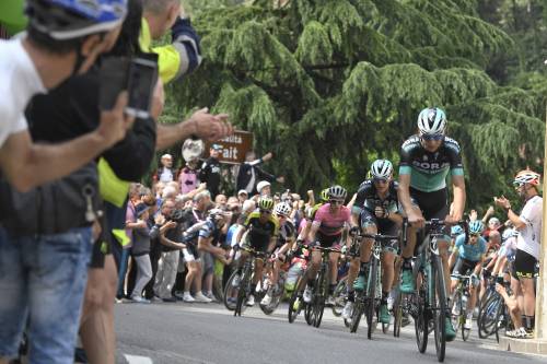 Giro d'Italia, Elia Viviani cala il poker e vince la 17a tappa