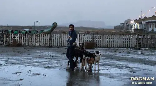 Dogman, un dramma romano girato a Caserta