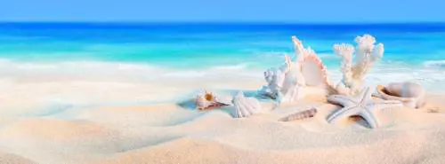 5 mosse per tornare in forma alle porte dell'estate