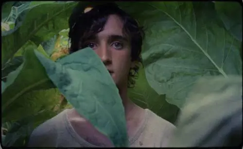 Al cinema "Lazzaro Felice", non è un paese per santi 