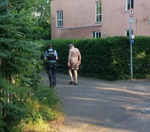 Un ladro gli ruba vestiti al lago. Leader AfD Alexander Gauland rimane in mutande