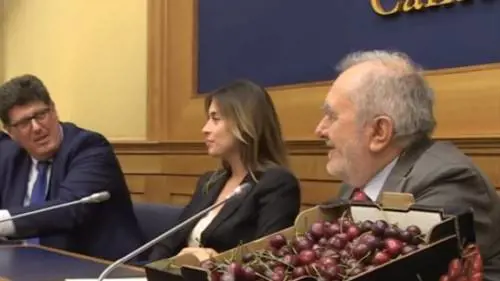 immagine di alanews