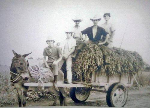 Nel villaggio dei coloni il tempo si è fermato. Chipilo dopo 135 anni parla ancora veneto