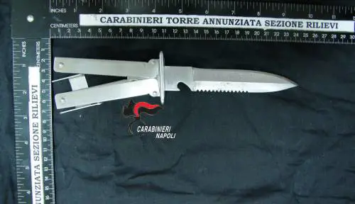 Accoltella il padre e ferisce il fratello, arrestato