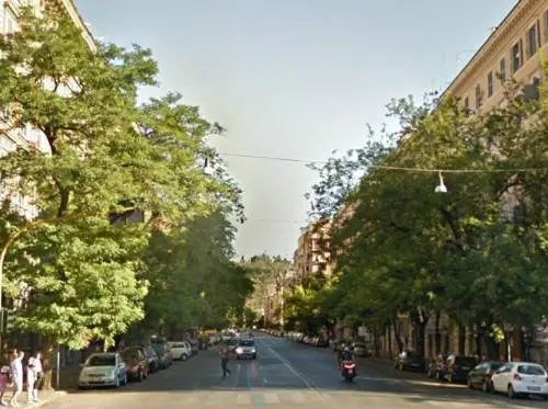 Roma, cade ennesimo ramo, tragedia sfiorata per donna incinta