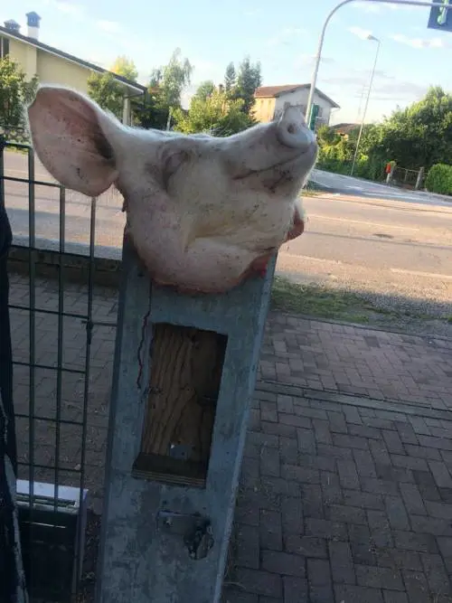 Facebook © Eleonora Meloni