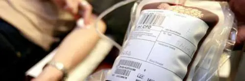 Testimone di Geova rifiutò trasfusione: assolto l'uomo che causò l'incidente