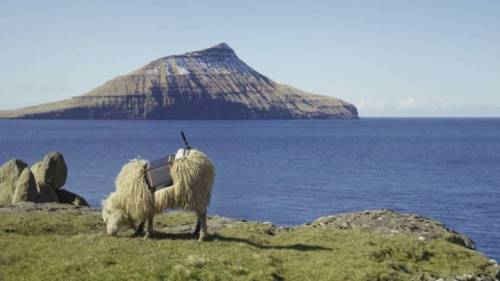 Le Isole Faroe vogliono l'indipendenza dalla Danimarca