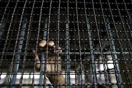 Usa, minorenni violentati. Carcere della Virginia nella bufera