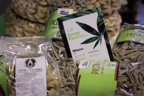 Cioccolatini, semi e olio: la canapa nel piatto non è fumo (ed è  legale)