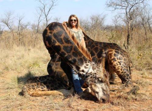 Uccide una giraffa e posta le foto: insulti e minacce sui social