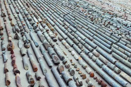 I volti del Brasile che piange "dipinti" da 70 anni di arte