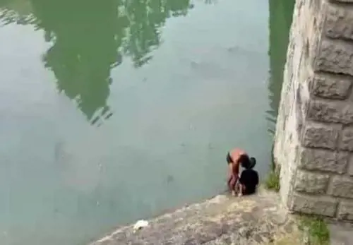 Uno screen del video del salvataggio pubblicato da "Padova Today"