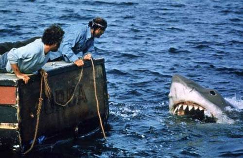 Lo Squalo, 43 anni fa nei cinema americani il cult di Steven Spielberg 