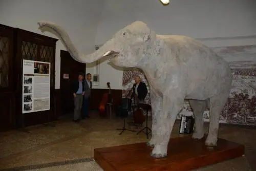 L'elefante di Napoleone Il viaggio dell'eroe (al contrario)