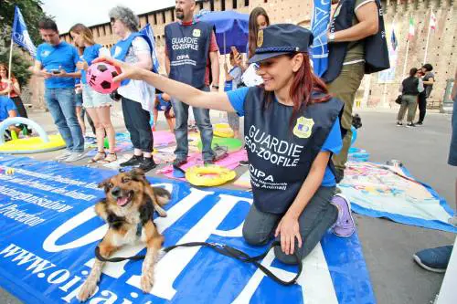 Via alla campagna contro l'abbandono animali