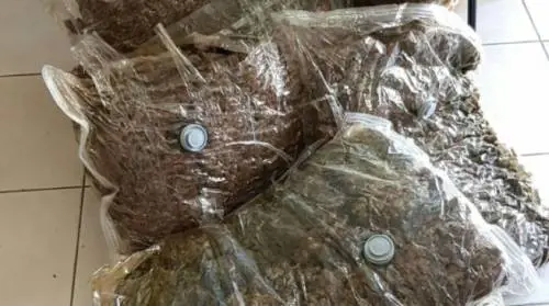 In camera da letto pistola, munizioni e 110 kg di droga: arrestato