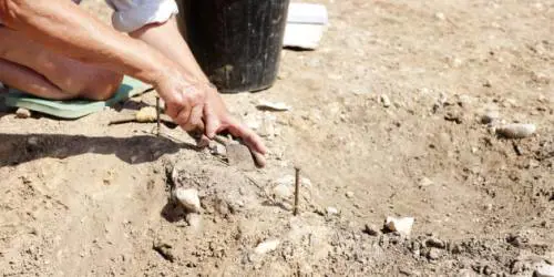 Grecia, trovata più antica tavoletta con versi dell’Odissea di Omero