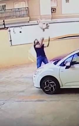 Cane precipita dal balcone: passante eroe lo salva predendolo al volo