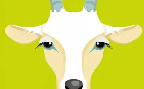 Sulle tracce di "Heidi" per scoprire la società di oggi