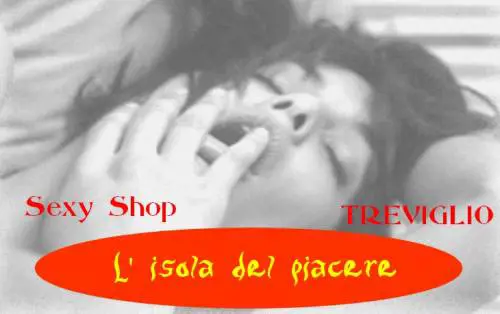 Alla Festa dell'Unità spunta un sexy shop come sponsor