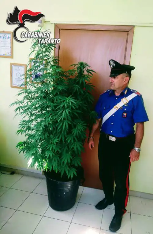 Taranto, a passeggio durante i domiciliari: in casa armi e marijuana