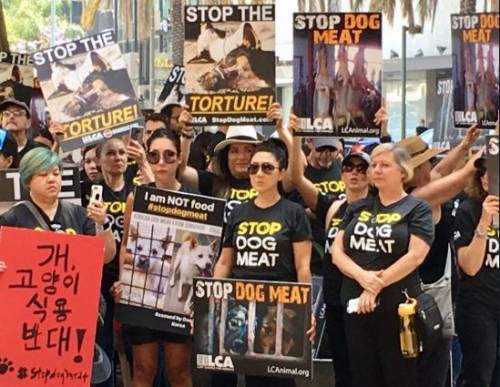Usa, parata di star contro la Corea del Sud: "Basta mangiare i cani"