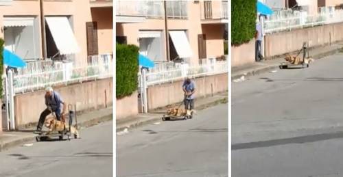 Il video che commuove l'Italia: anziano porta a spasso cane malato