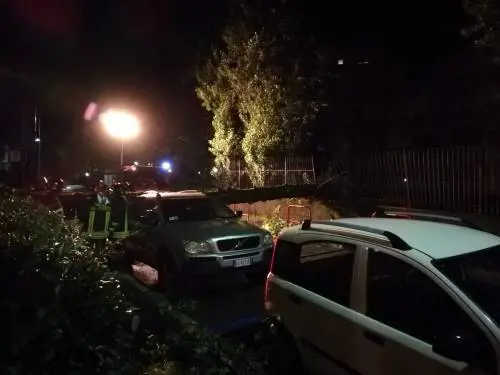 Varese: un albero su un’auto e una voragine di 4 metri 