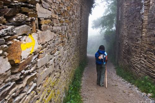 Cammini di guerra nel nome di San Francesco